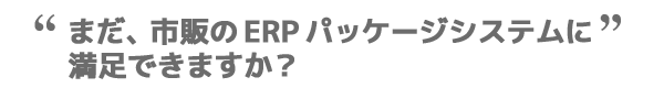 あなたはまだ、市販のERPパッケージシステムに満足できますか？