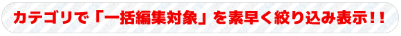 カテゴリで「一括編集対象」を素早く絞り込み！！