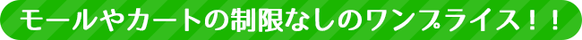 モールやカートの制限なしのワンプライス！！