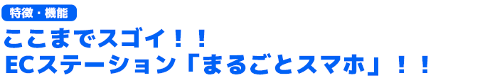 ここがスゴイ！！ECステーション　まるごとスマホ（特徴・ポイント）